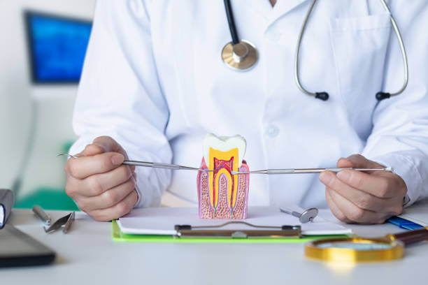 Best Pediatric Emergency Dentist in Socorro, TX